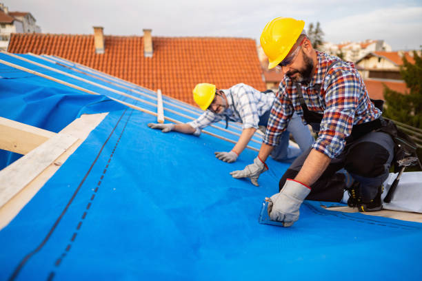 Best Flat Roofing  in Fredonia, NY