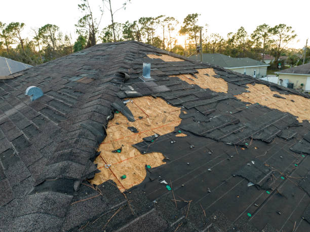 Best Rubber Roofing (EPDM, TPO)  in Fredonia, NY